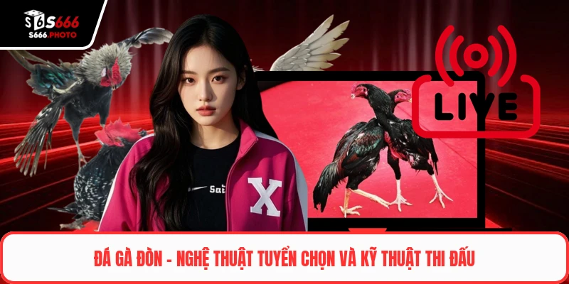 Đá gà đòn